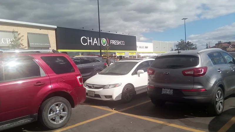 Chalo Fresh Co: What to Know and How to Check in Canada